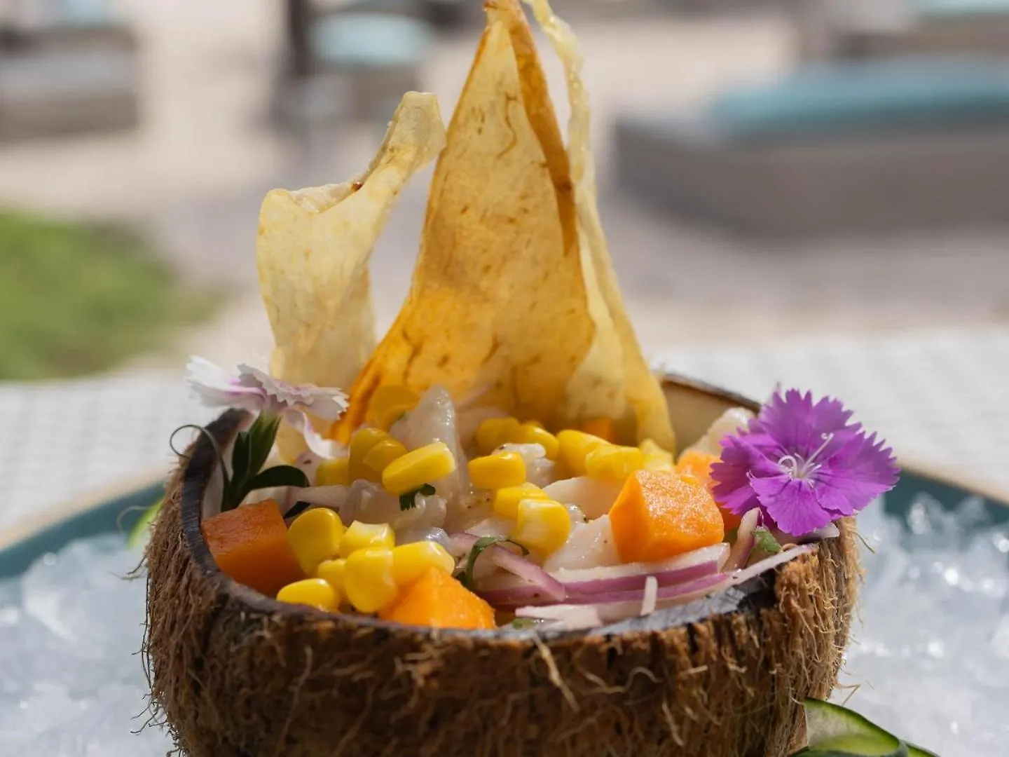 Villa Casa Agua Akumal Mexico